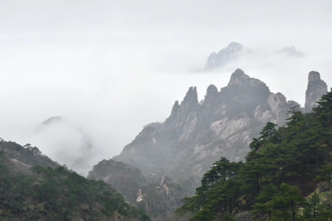 风雨兼程五春秋 一路高歌写辉煌 --峰工电气五周年华诞之黄山行